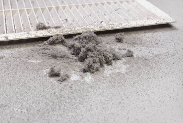 Best Residential Air Duct Cleaning  in Mila Doce, TX