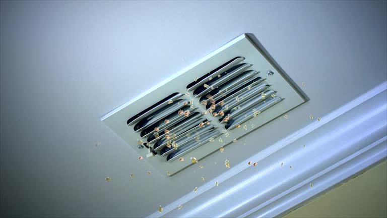 Best Best Air Duct Cleaning Company  in Mila Doce, TX