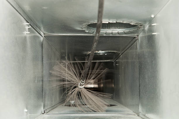 Best Affordable Air Duct Cleaning  in Mila Doce, TX